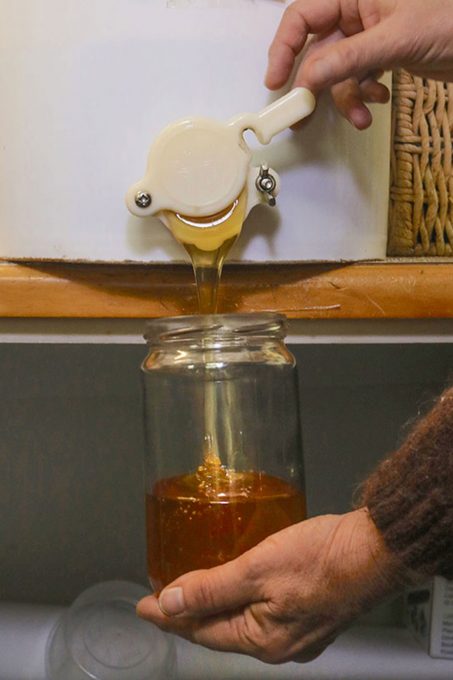 Forgiving Foods Bulk Honey